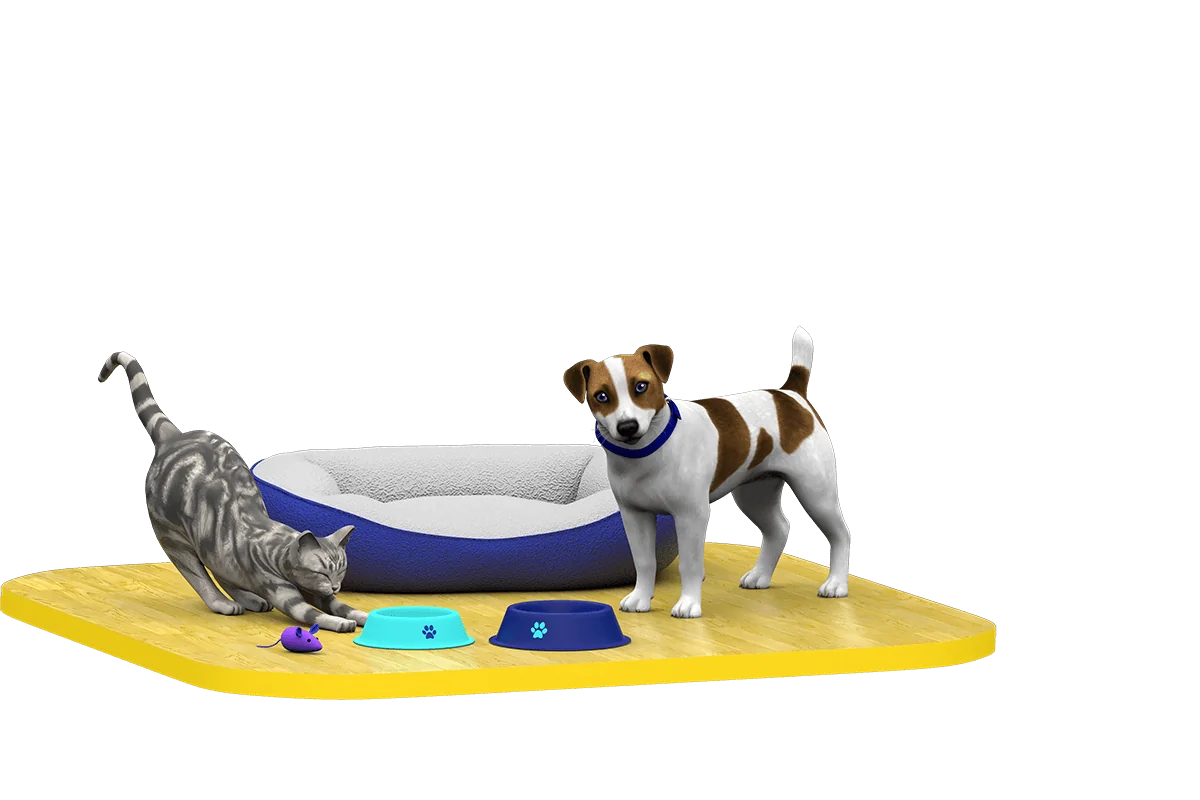 Cat and dog with pet bed and bowls.